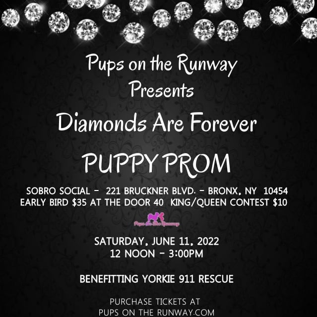 Puppy Prom 2022.  Get your tickets at Puppy-prom-2022.eventbrite com.