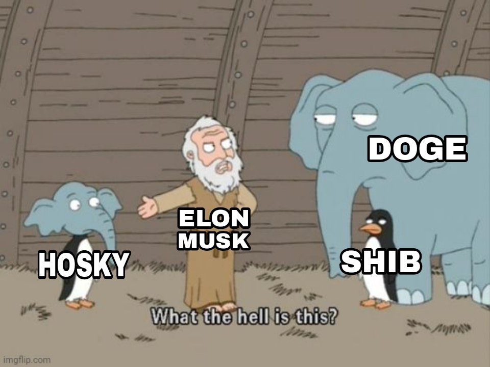 Tiger100x's tweet image. 