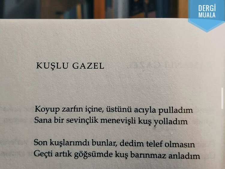 📘 #MetinAltıok - Geçti artık göğsümde kuş barınmaz anladım…