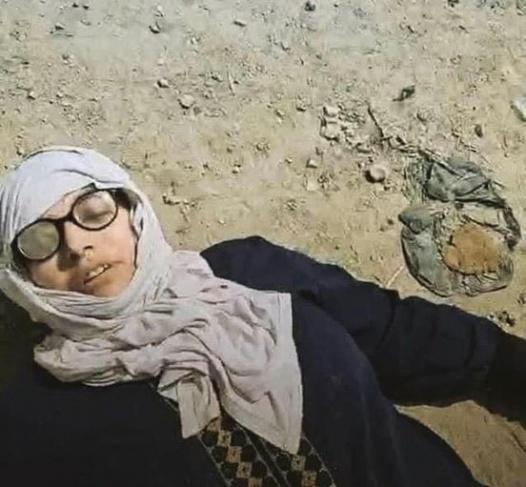 derradjihafid's tweet photo. قوات الاحتلال ترتكب جريمة نكراء بإعدام سيدتين فلسطينيتين بدم بارد بتهمة إنجاب الرجال الشرفاء. 
لم يقدروا على الأطفال والرجال، فراحو يقتلون الحرائر من النساء الفلسطيني��ت أمهات الشرفاء. 
المطبعون لن يجرؤوا طبعا على إدانة الجرائم الإسرائيلية لأنهم جبناء ولأن   #فلسطين_قضية_الشرفاء https://t.co/B46Bvmvzax