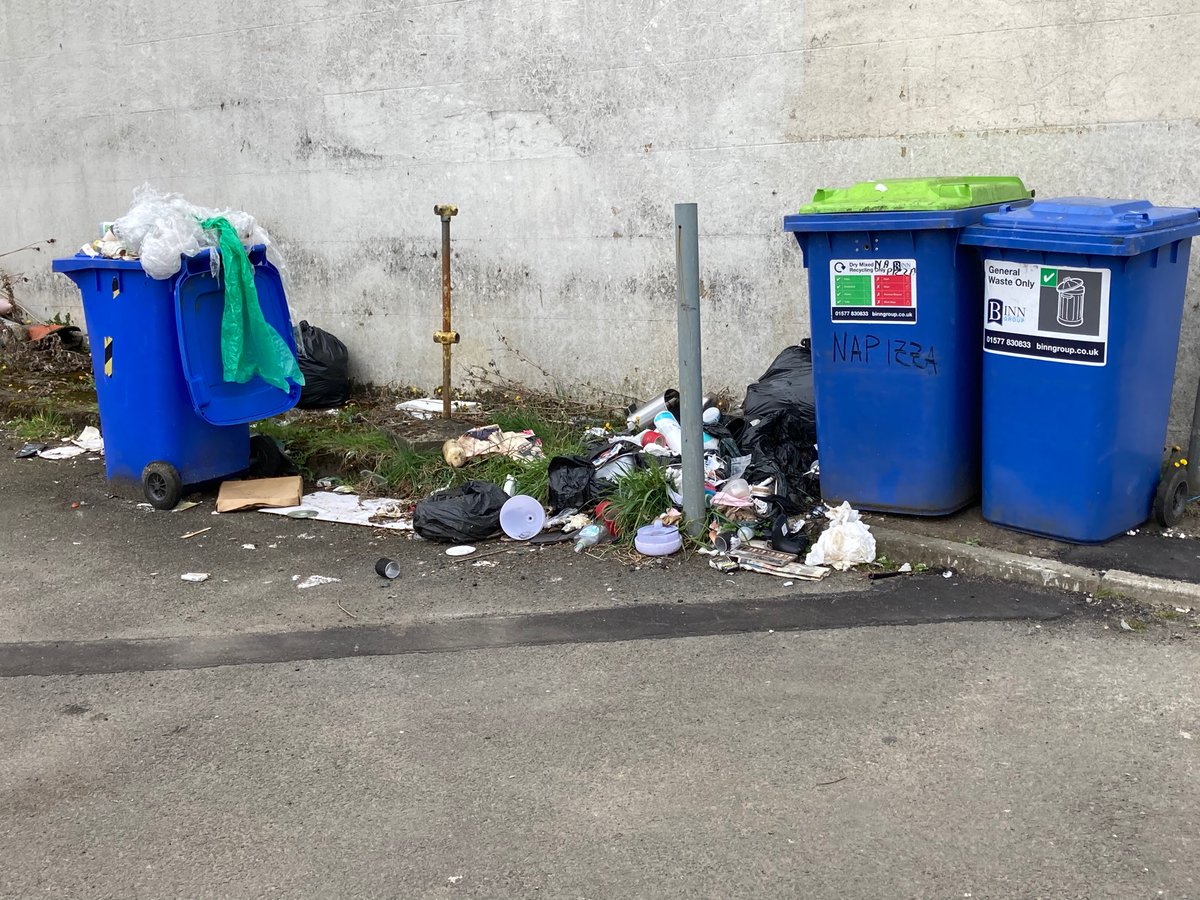 FalkirkFilthy's tweet image. Hey @falkirkcouncil @FalkirkSNP @FalkirkDelivers @Lorna4FalkirkS @FalkirkDelivers    Any chance you could sort out this rat infested mess in Manor Street in Falkirk?   It’s a vermin playground and looks atrocious.