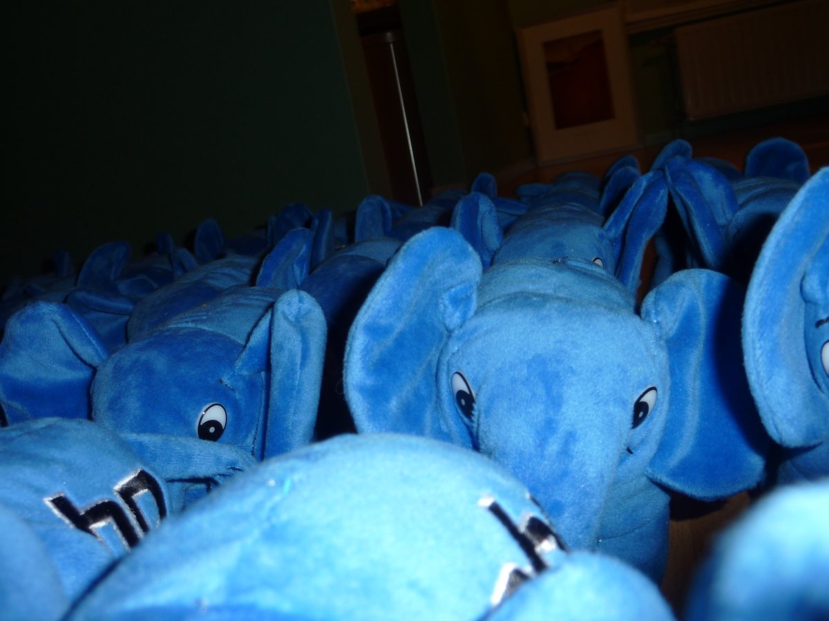 cube_solutions's tweet image. It's Siblings Day today... so of course we all celebrate ;-) #siblingsday #elephpant #werehiring #phpjobs