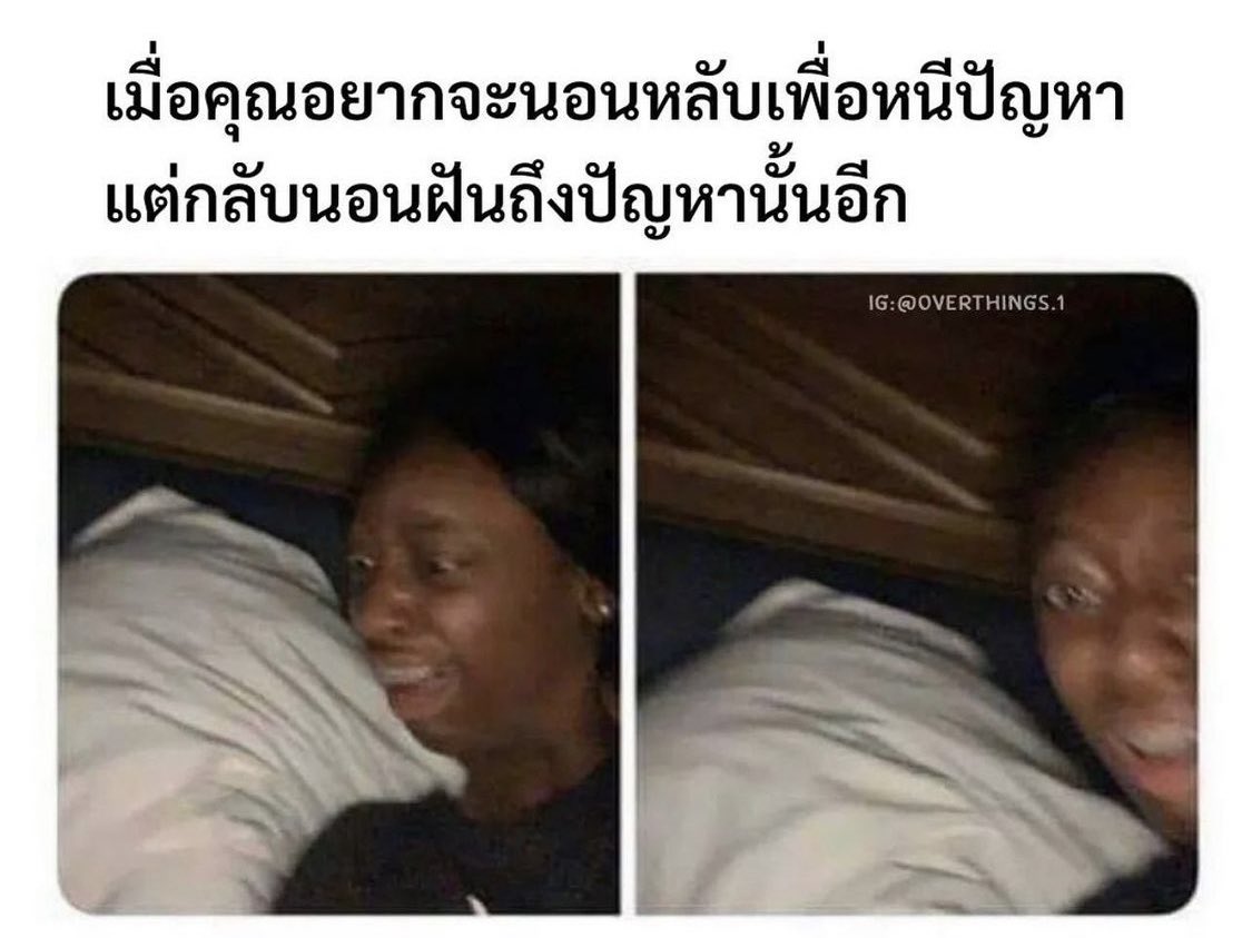 ช่างแม่ง🐰🏳️🌈 tweet media