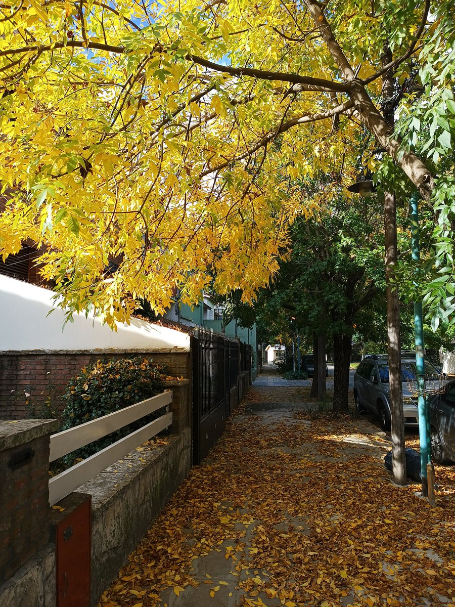 tobilandias's tweet photo. ¿Como te puede gustar el verano existiendo el otoño? https://t.co/lxEx1a59kC