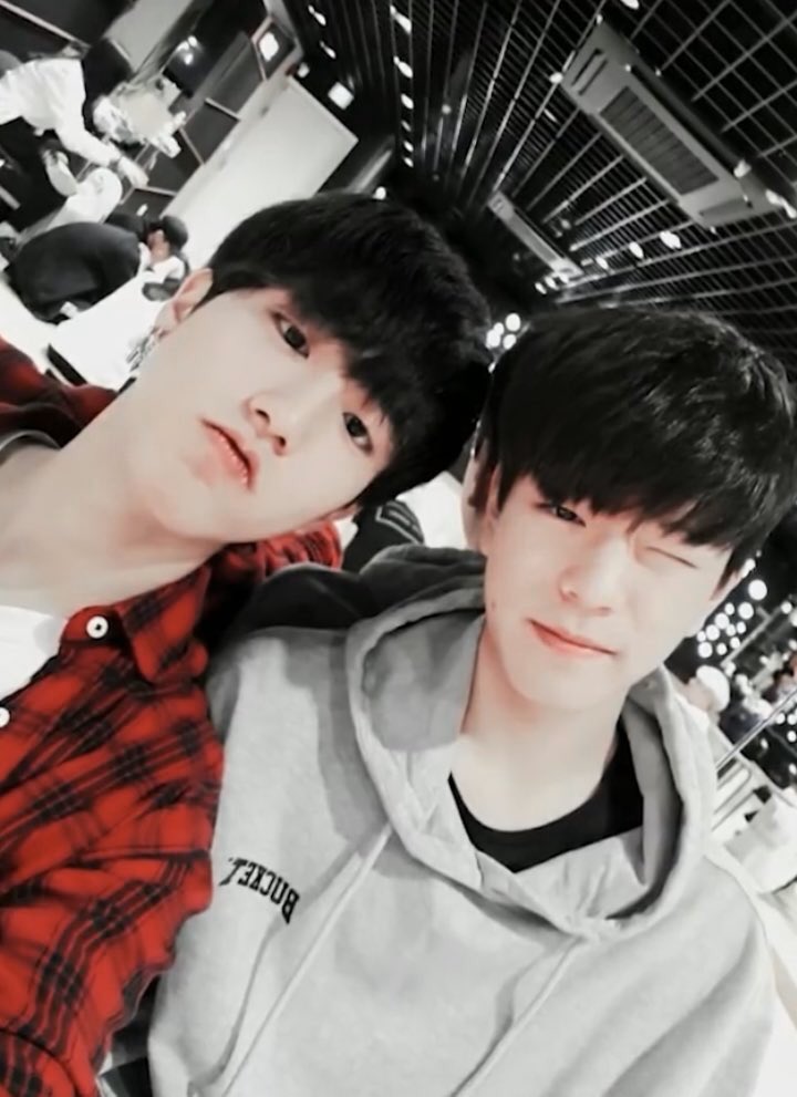 hanyconejitos's tweet photo. https://t.co/0uj57LGNo6