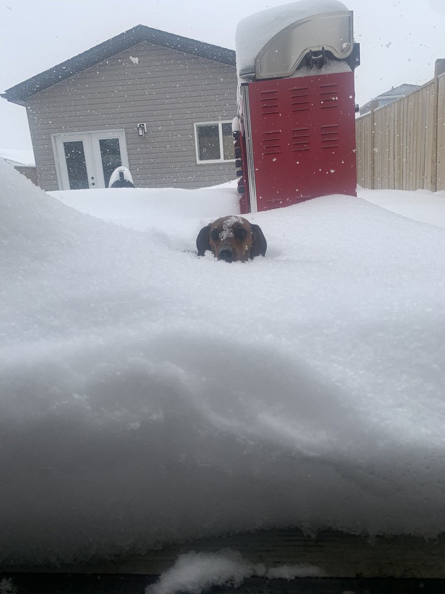 Melanie Walsh tweet media