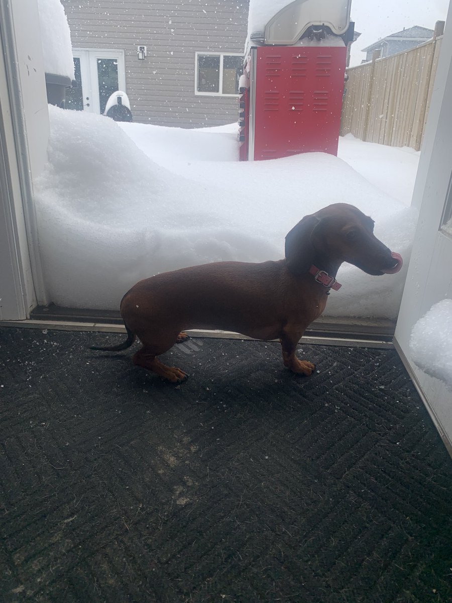 Melanie Walsh tweet media