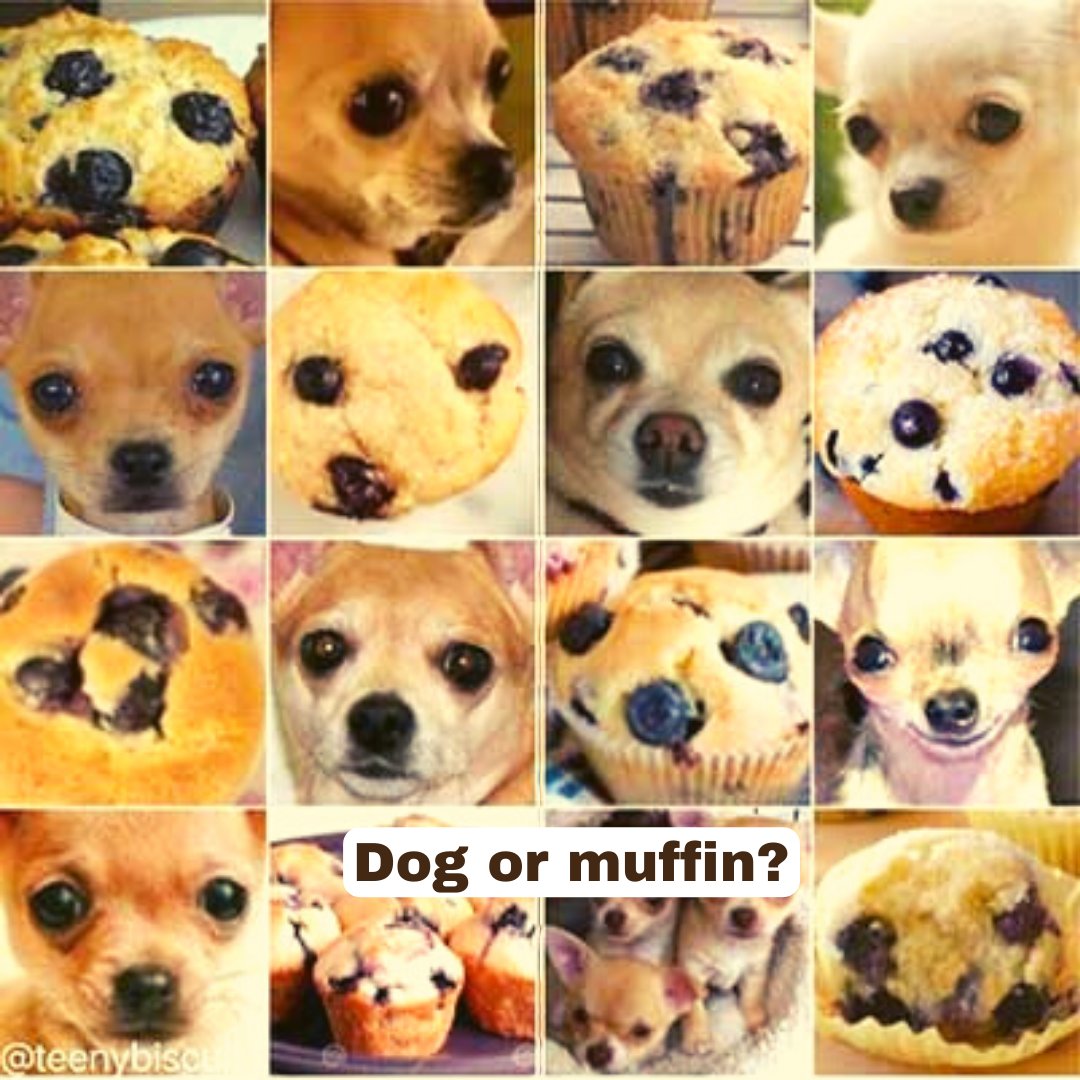 Elbridge AI tweet media