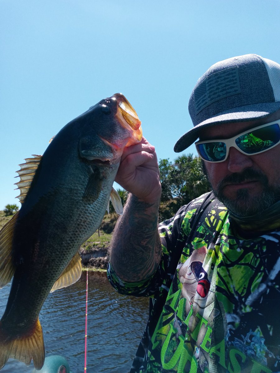 D.Bailes3 tweet media