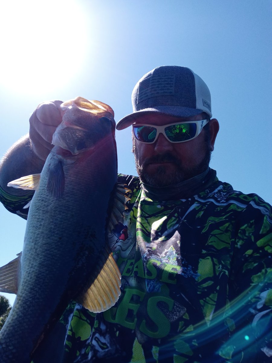 D.Bailes3 tweet media