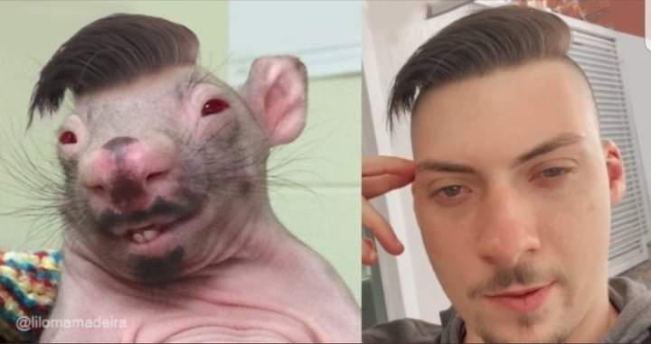 renato_fume's tweet image. Acharam o 05