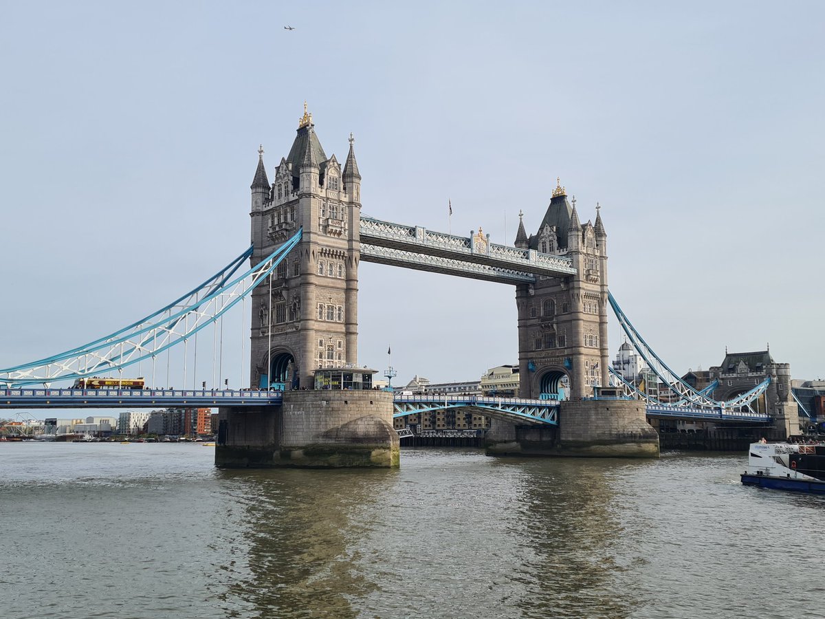 David | Directo a Japón ⛩ tweet media