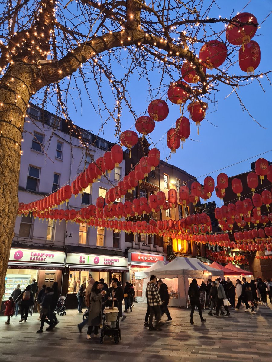 David | Directo a Japón ⛩ tweet media