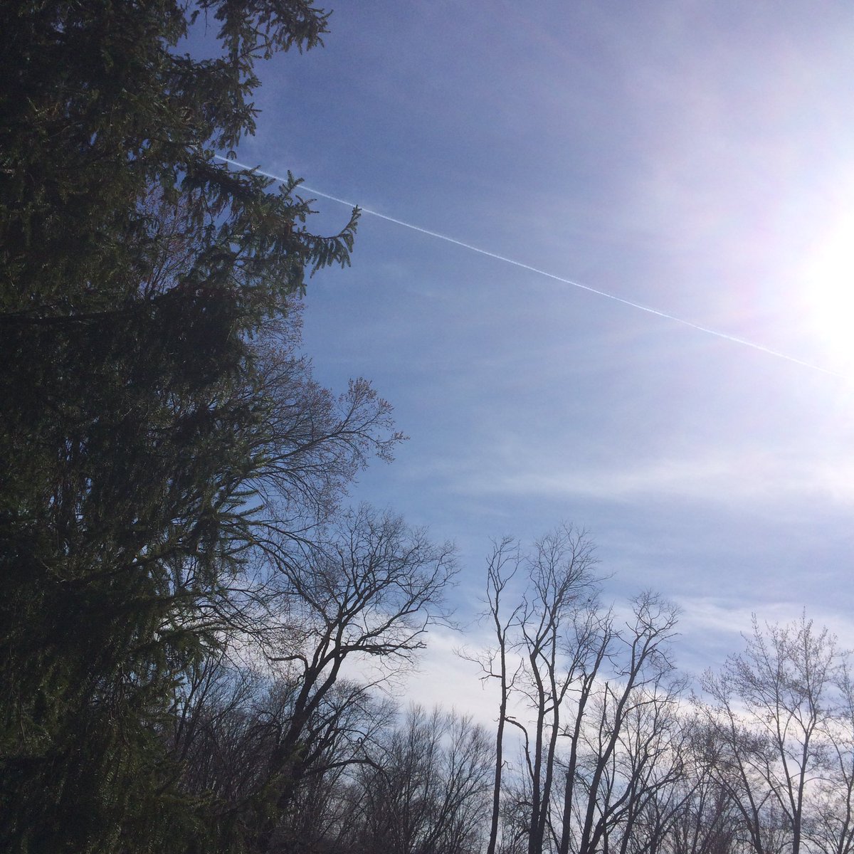 Chemtrail Awareness tweet media