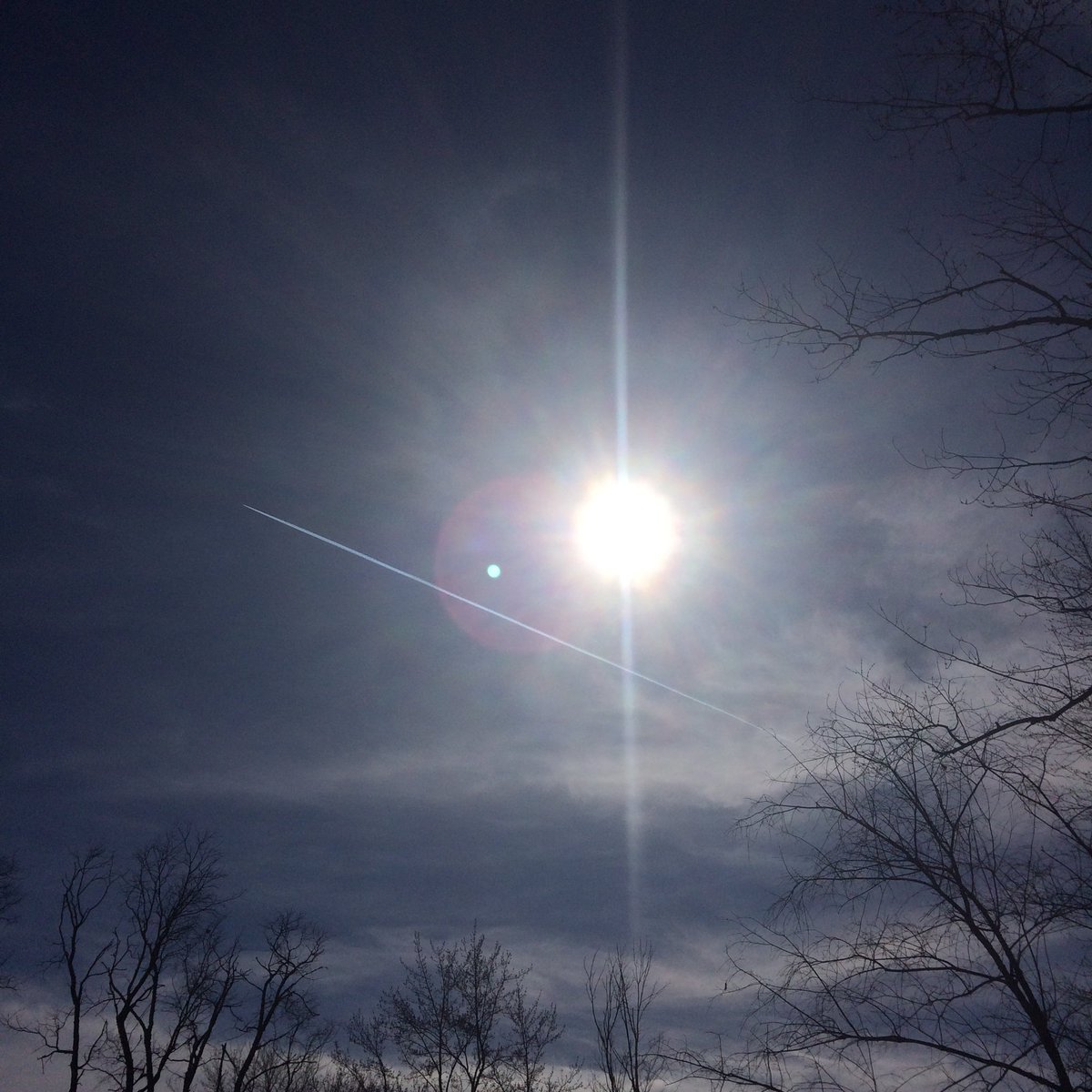 Chemtrail Awareness tweet media