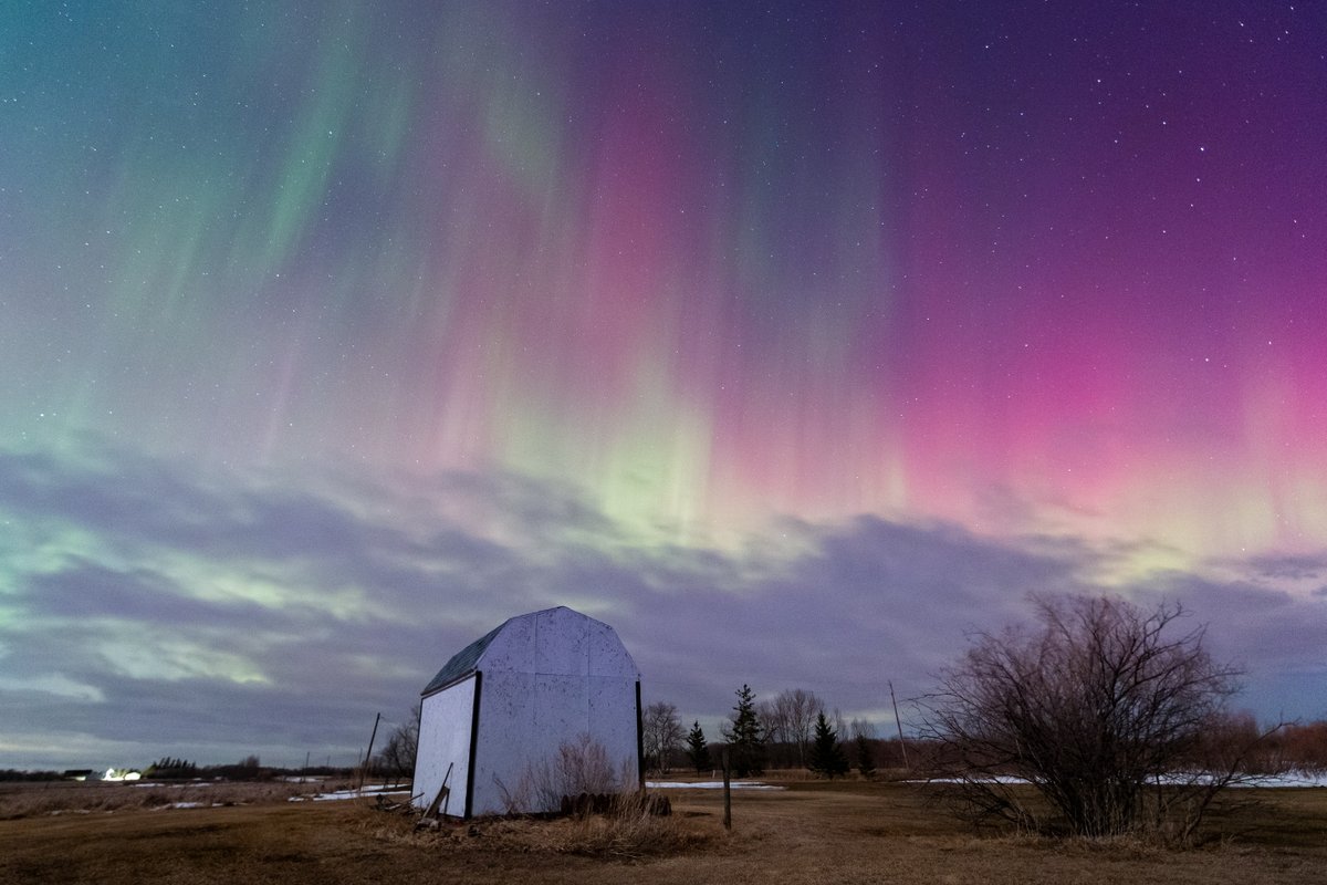 AuroraJAnderson's tweet photo. Just a few shots from last nights show. The reds were early in the evening, before it clouded over. Then the pano's where after I dragged my butt out of my house, around 2am.  
Was battling what might be covid, so I stayed close to home. But the best medicine is aurora! https://t.co/xyJEL5XY9h