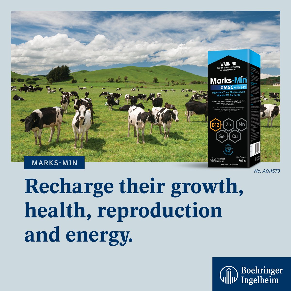 vitamin b12 injections torrance ca CYANOCOB 1000 INJECTION (Vitamin B12) 🔹 Strong Support for Animal Health &  Productivity ✓ Improves Blood Formation ✓ Increases Appetite ✓ Boosts  Energy & Strength ✓ Supports Nervous System ✓ Helps in main image 1