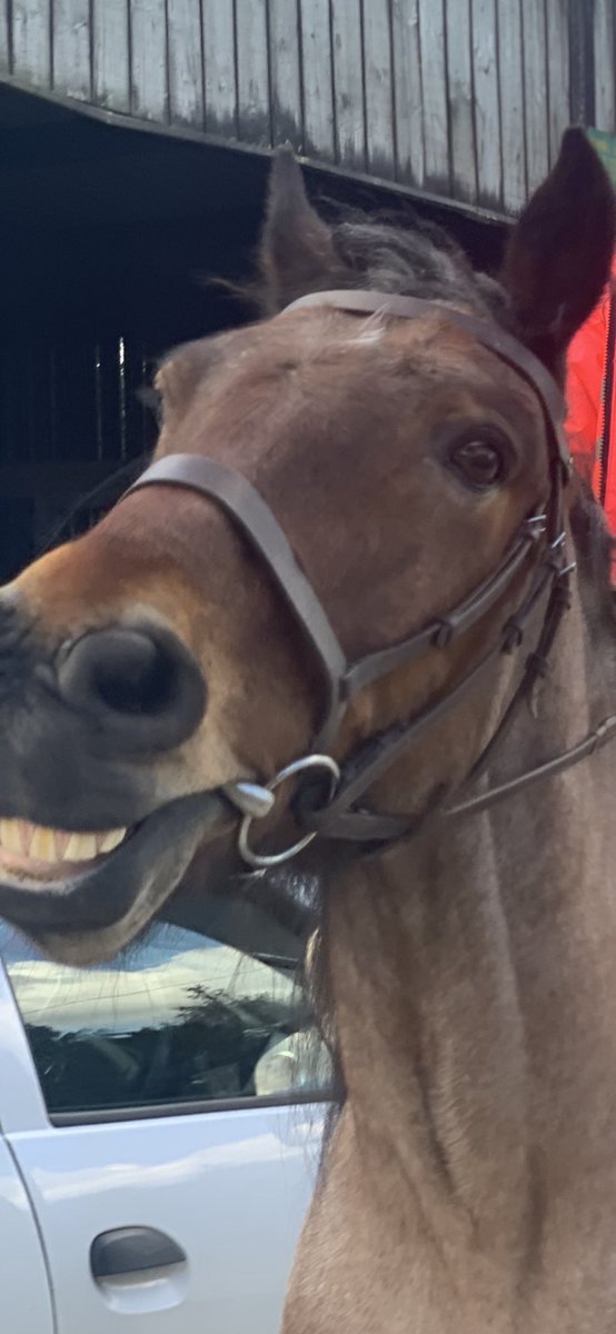 As the weekend draws to a close here is quite possibly the best photo I’ve ever taken …