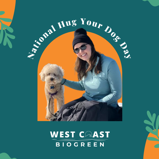 wcbiogreen's tweet photo. Happy #Nationalhugyourdogday! 
We love your furry friends as much as you do...that's why we only work with all natural, pet friendly products. 
Struggle with #dogspots? DM us and  find out how Alive Elite can help !
@westcoastbiogreen
.
.
.
.
.
.
.
.
#welovedogs #furryfriends https://t.co/ly5qFJgrAn