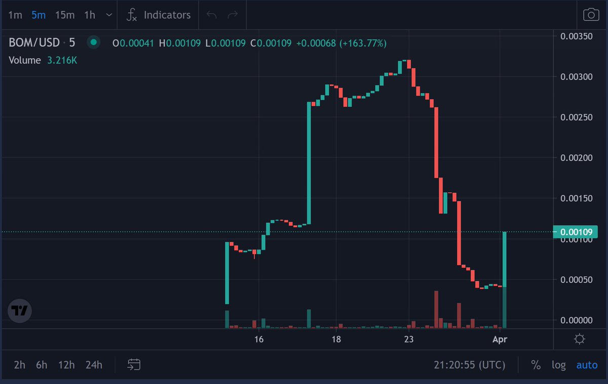 Bombay Inu tweet media