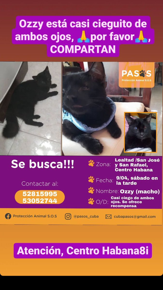 ClauSoto #J11 tweet media