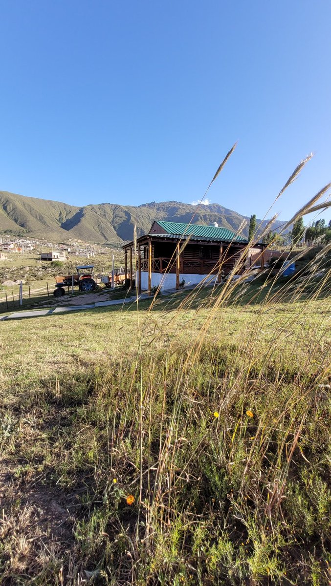 contilobo's tweet photo. Holii, les presento la cabaña de mi familia, en el mollar. Si le dan rt les agradecería un montón 🥺 y los esperamos 🥰🥰 https://t.co/QgKXIyMvUW