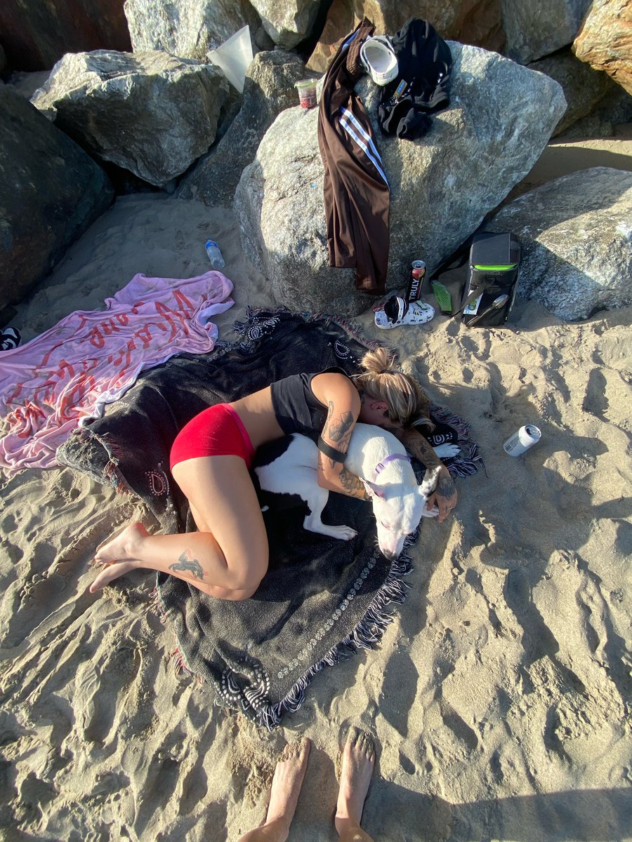 LaurenSanderson's tweet photo. no filter just sand and dog hair 😍 https://t.co/WZR3pHXSW4
