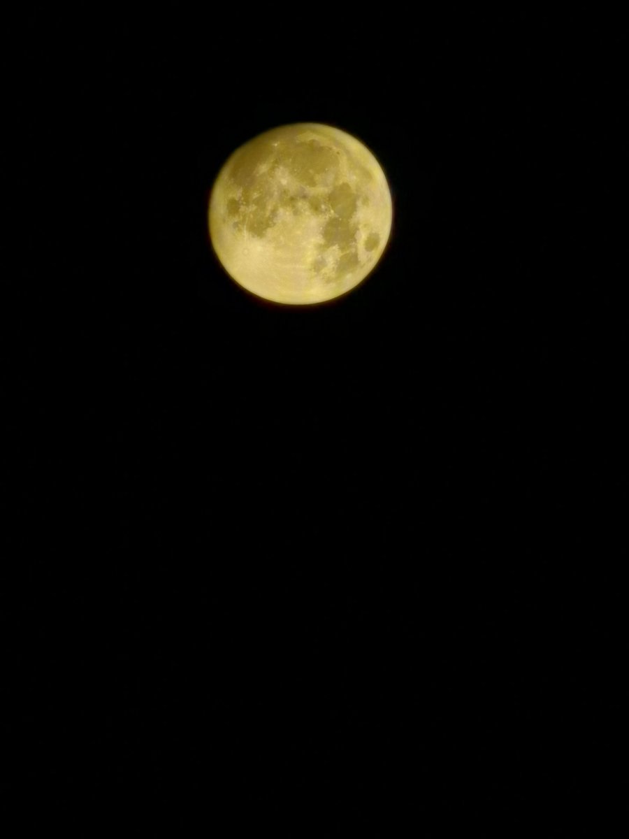 CatoCana's tweet photo. https://t.co/Nqkqxt1H6h

2021年06月24日～

#過去写真
#携帯で月
#月の撮影
#夜明けの月
#月
#30倍
#名古屋市中村区八田 https://t.co/IP4SS95mYR