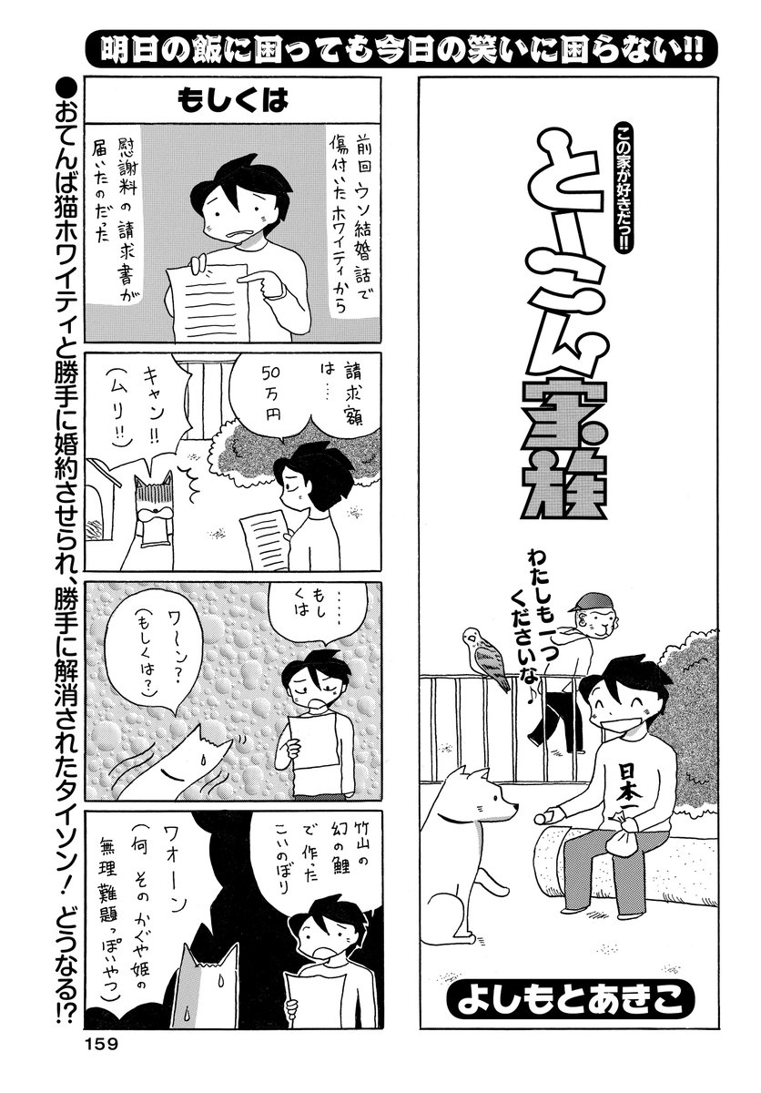 増ページ「とーこん家族」(よしもとあきこ)
前回ひょんなウソからホワイティと婚約させられ、気付けば解消されてたタイソン。
慰謝料の請求書まできちゃったけれど…!?
#まんがライフオリジナル #本日発売