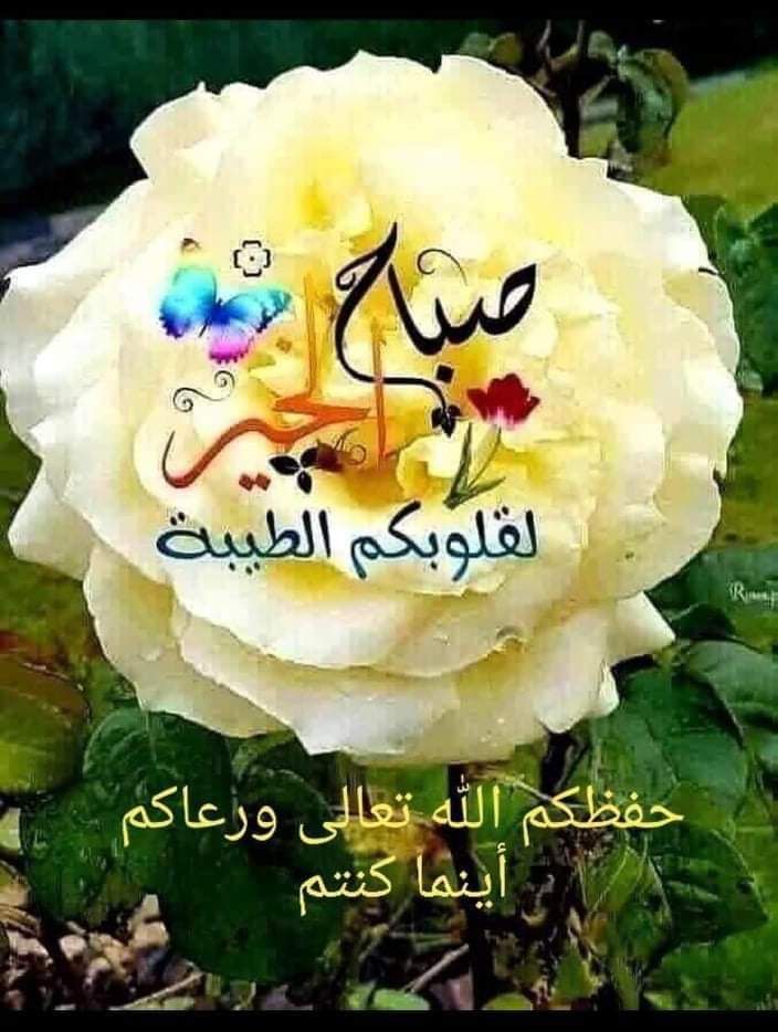 BTfyan's tweet photo. صباح الخير https://t.co/OalcZCkrYv