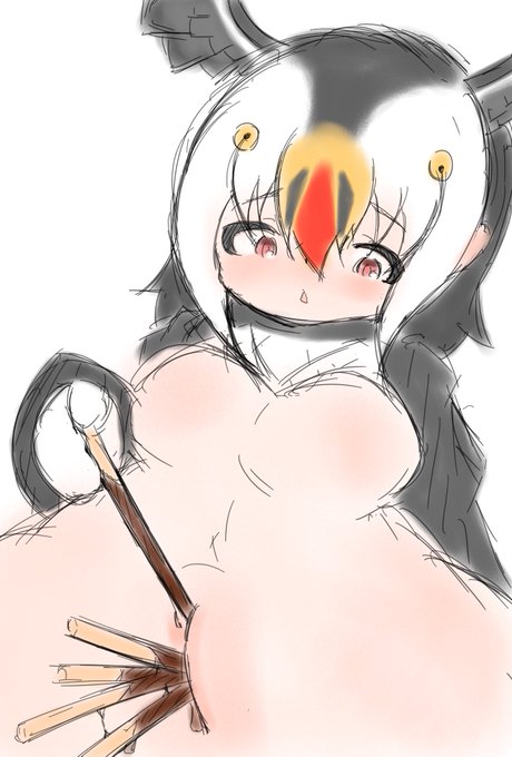 パフィンちゃん 