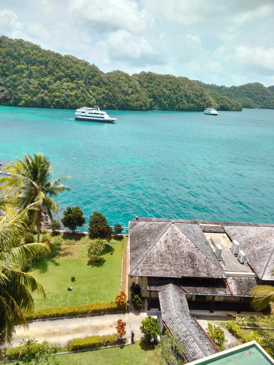 Greetings from beautiful Palau. Day 1.