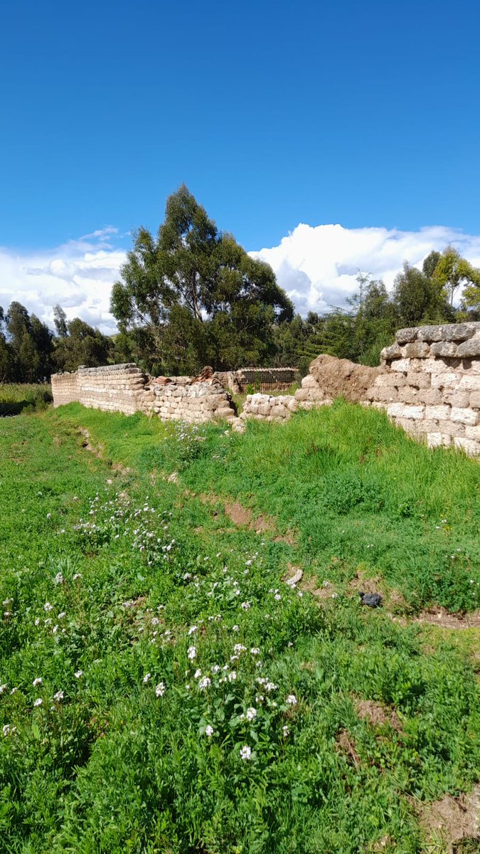NelsonAR12's tweet photo. @GobiernoJunin Este es el estado en que se encuentra la IE inicial 285 del centro ponlado de vicso, una localidad ubicada a 20 km de Huancayo https://t.co/nmCvk9T5Y2