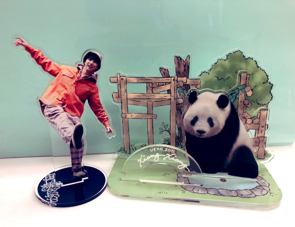 念願の推し同士の共演！シャンシャンちゃんのアクスタを公式ショップで