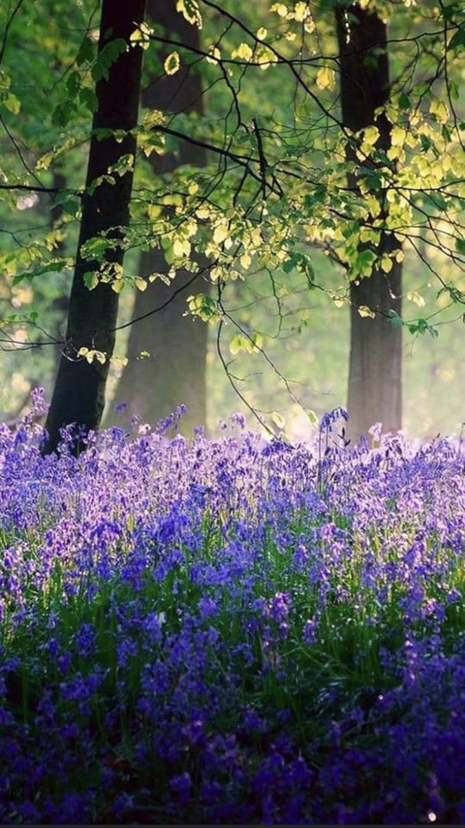 monicasloves's tweet photo. #OurWorld https://t.co/DEsyyE9ifW