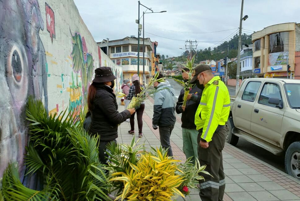 MAE_Zonal6's tweet photo. Con apoyo de la #UNPAMB, realizamos operativos de control para evitar la comercialización ilegal de la palma de cera en mercados y exteriores de iglesias de Azogues, Biblián, Déleg, Cañar, El Tambo y Suscal. Durante esta actividad se retuvo 20 kg de arreglos con palma de cera. https://t.co/RktnrFp1sL