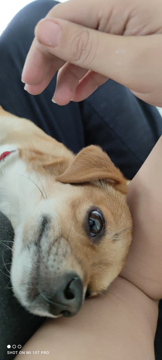 MStaarthof's tweet image. Y es que ella sabe cómo hacerme sentir paz.