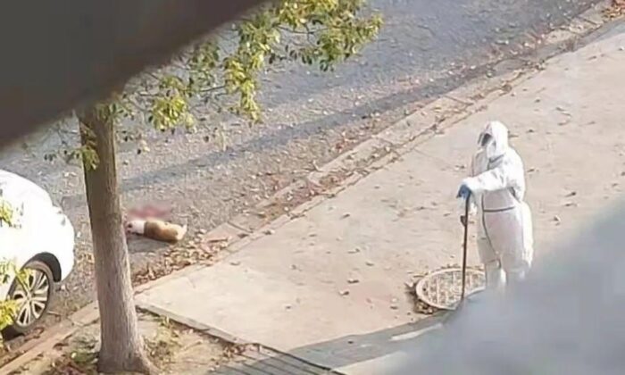 CantHelpTheLef1's tweet photo. #Communist Covid Pandemic Worker kills innocent pet in Shanghai.
Owners of innocent pet devastated.
#BadChina #China #Auspol #Auspol2022 #AusVotes2022 https://t.co/RKu3cEQUAf