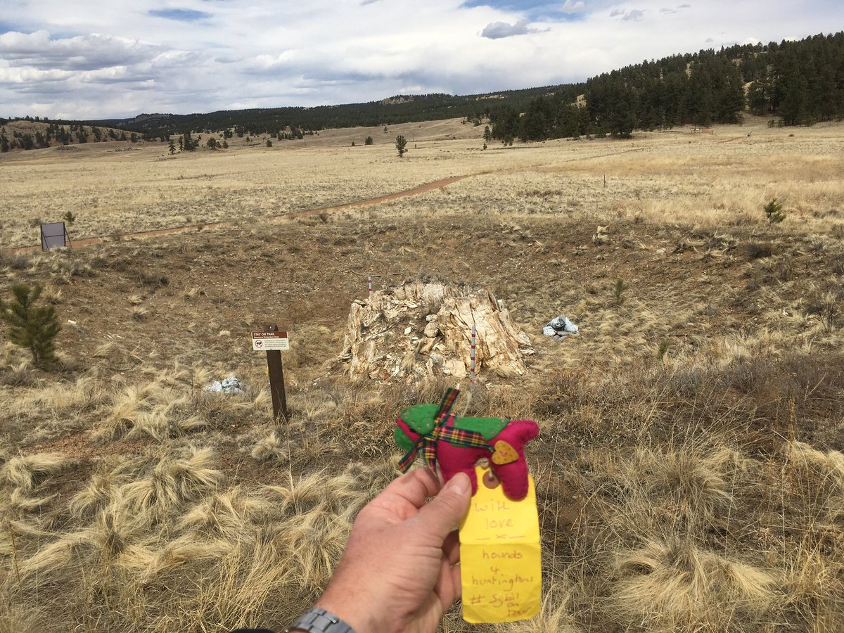 SamSam and LouLou (@sampluslou) on Twitter photo No #stumpclub today for Miss Sybil, because these ones are too fragile.
Hiking the Petrified Forest trail at Florissant Fossil Beds National Monument.
#Hounds4Huntingtons
#SybilOnTour
#btposse
<a href="/jaq421/">jackie harrison</a>
<a href="/FlorissantNPS/">FlorissantFossilBeds</a>
<a href="/visitcos/">VisitCOS</a> No #stumpclub today for Miss Sybil, because these ones are too fragile.
Hiking the Petrified Forest trail at Florissant Fossil Beds National Monument.
#Hounds4Huntingtons
#SybilOnTour
#btposse
<a href="/jaq421/">jackie harrison</a>
<a href="/FlorissantNPS/">FlorissantFossilBeds</a>
<a href="/visitcos/">VisitCOS</a>