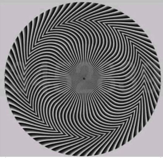 Até agora ninguém acertou o número exato.