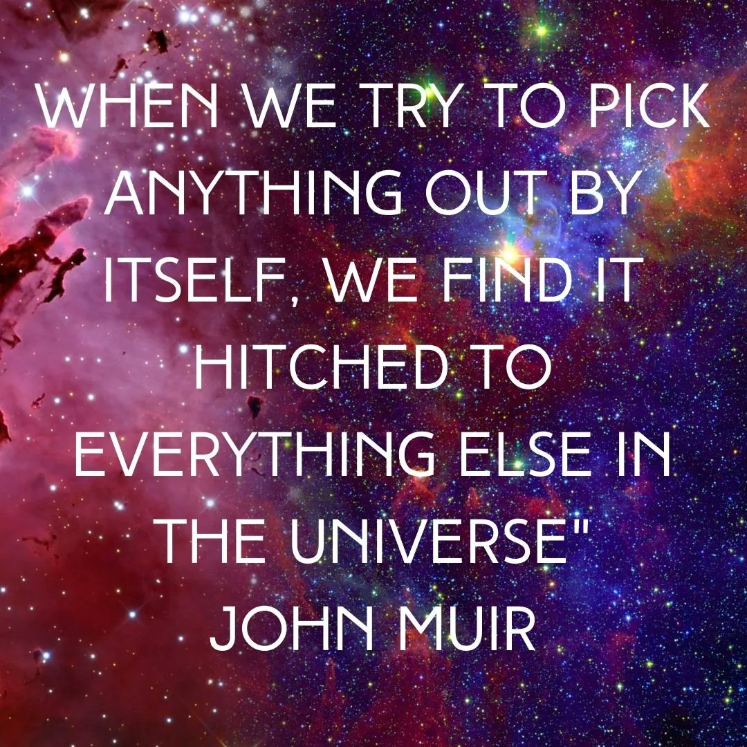Connectiv_Prjct's tweet photo. Nothing is ever in complete isolation. You are never in complete isolation. #ConnectivityProject https://t.co/WhXbDD3ewT