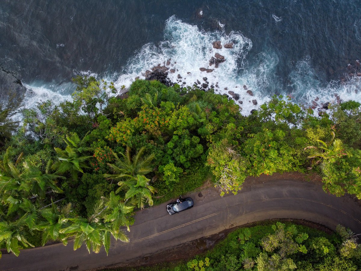 AlteredGG's tweet photo. Pic I took in Hawaii https://t.co/dvoYHELaCo