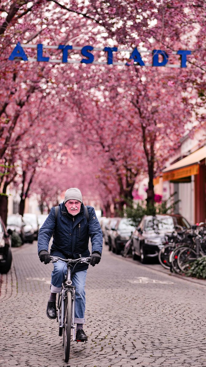 Fan WANG tweet media