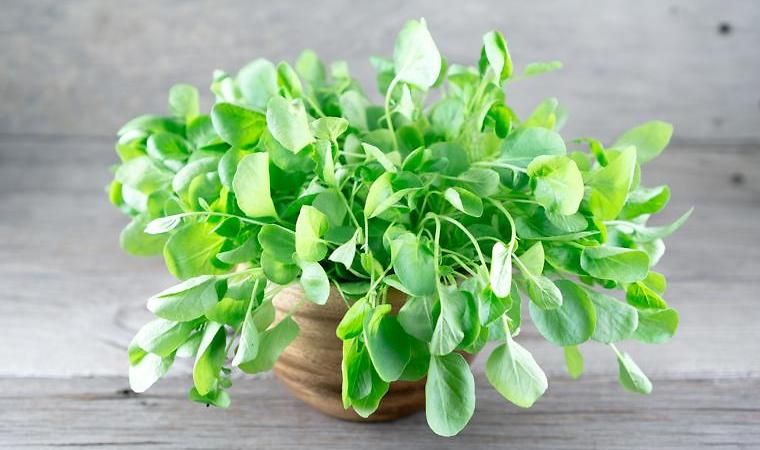 GrubMarket tweet media