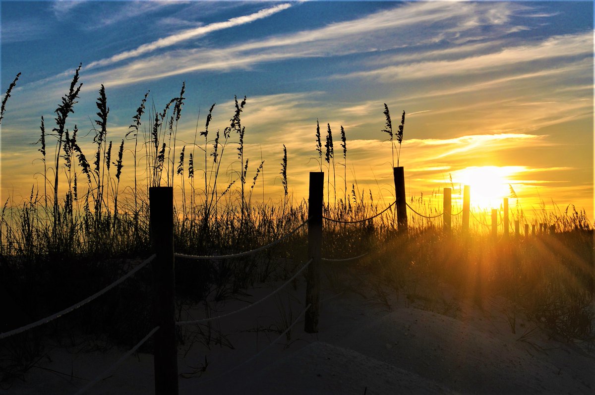 VisitPerdidoKey's tweet photo. βIt is almost impossible to watch a sunset and not dream.β -Bernard Williams
πΈ: Dee Horton #PkPhotoContest
#PerdidoKeyLife #PurelyPerdido #PerdidoSunsets #DreamySunset https://t.co/8W7rMabmrf