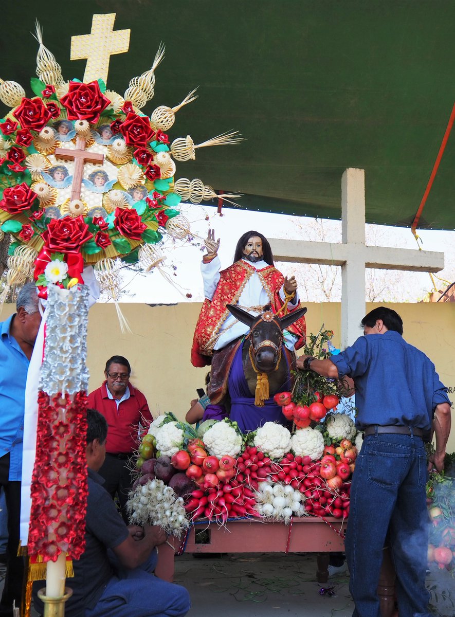 mirukiku55's tweet photo. San Antonino Castillo VelascoのDomingo de Ramos(エルサレム入城の日)
私はこの野菜神輿(勝手に命名)を見るのが好きで本日も参加してきました。
初めてお野菜を盛り付ける?場面から見る事ができました!こちら動画にしますので少々お待ちください。
#メキシコ
#domigoderamos https://t.co/laSfS8hE57
