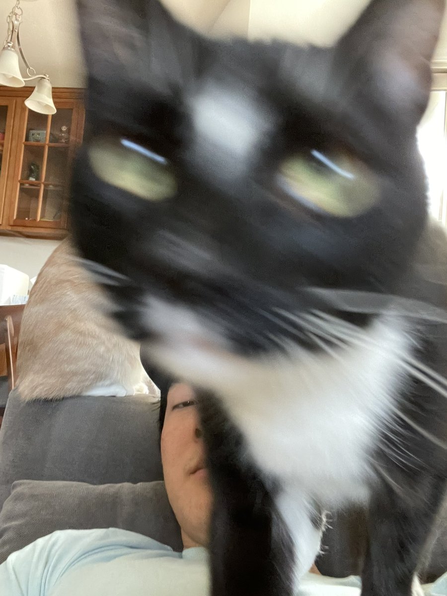 JSourivongs's tweet photo. POV: you laid on the couch https://t.co/F9OymMh8Gk