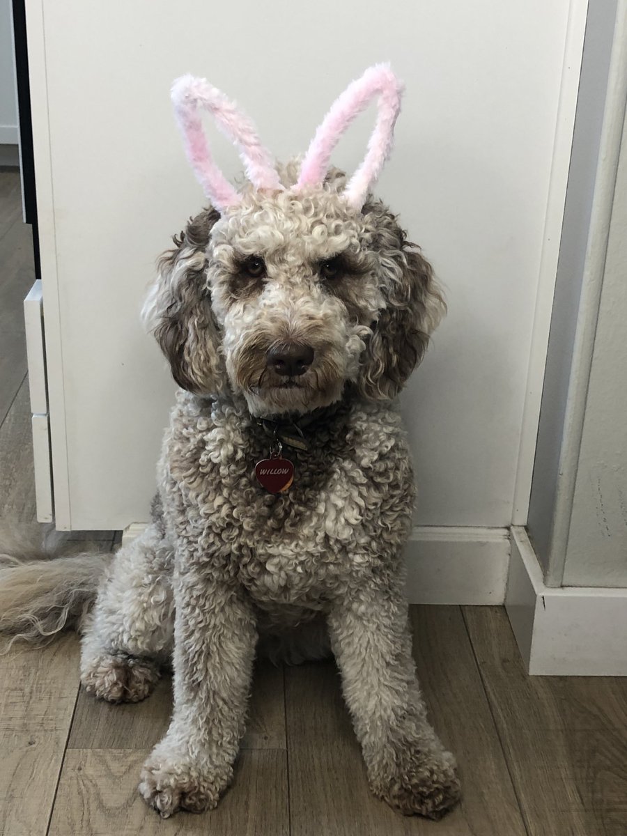 Constance829's tweet image. Oh Happy Day!