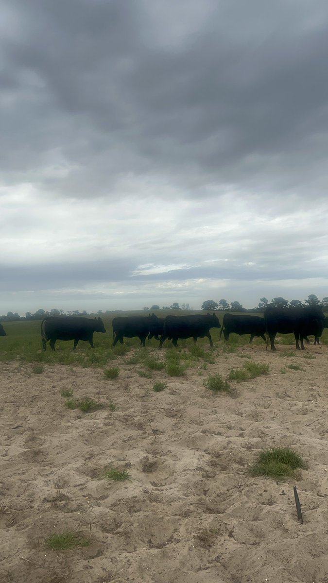 Monica Ley tweet media