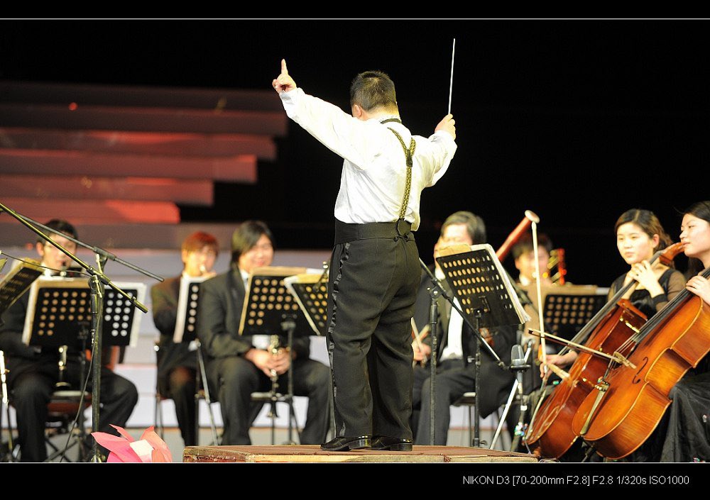 DoraDaemon1's tweet image. 所有人都知道他在瞎指挥，只有他自己陶醉其中。